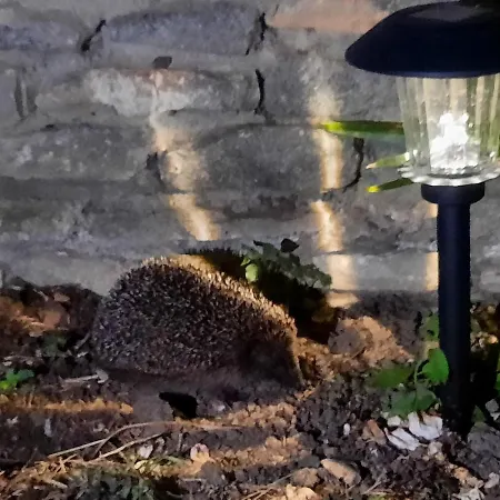 Gold - Logis Des Hirondelles Classe 4 Etoiles Casa de Férias