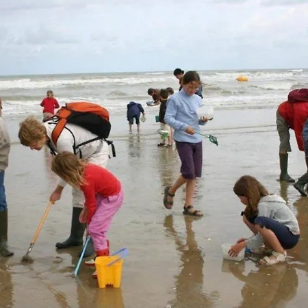 Logis Des Hirondelles - Gold - Maison Plain Pied Classee 4 Etoiles Dom wakacyjny Ver-sur-Mer