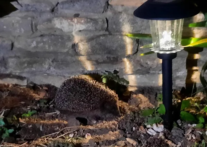 Logis Des Hirondelles - Gold - Maison Plain Pied Classée 4 étoiles Casa vacanze